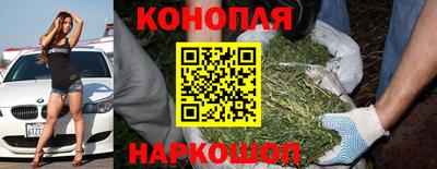 шишки Балахна