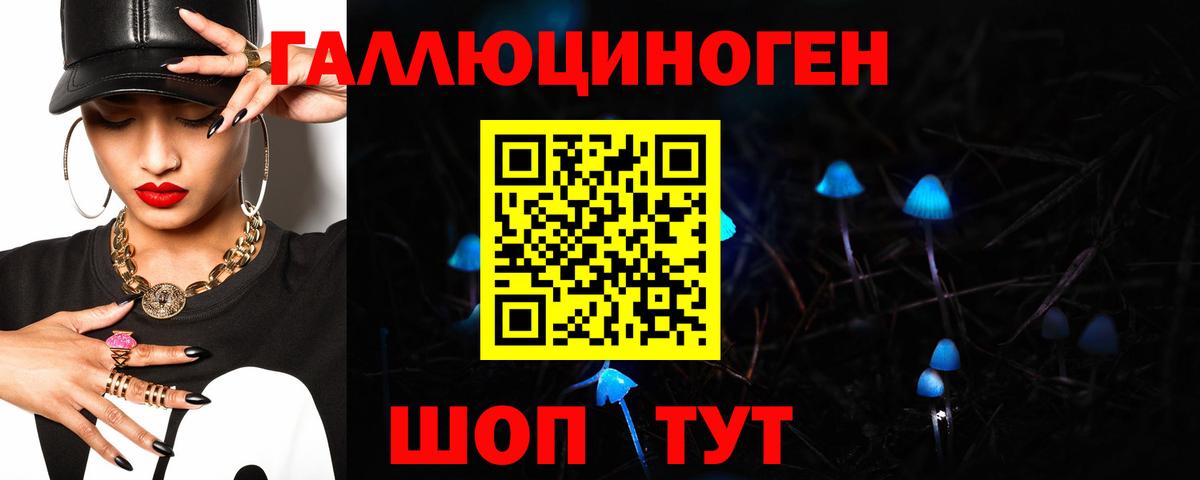 Галлюциногенные грибы Psilocybine cubensis  Псилоцибиновые грибы MAGIC MUSHROOMS  Дмитров  Вход с VPN 